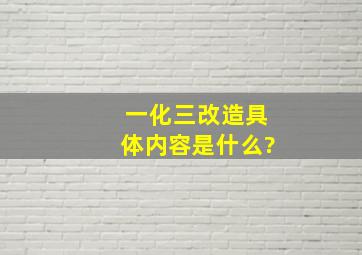 一化三改造具体内容是什么?