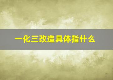 一化三改造具体指什么