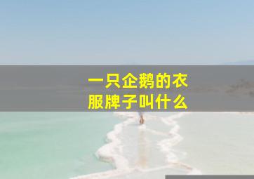 一只企鹅的衣服牌子叫什么