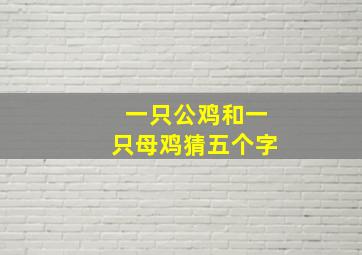 一只公鸡和一只母鸡猜五个字