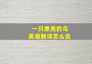 一只漂亮的鸟英语翻译怎么说