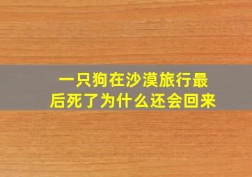 一只狗在沙漠旅行最后死了为什么还会回来