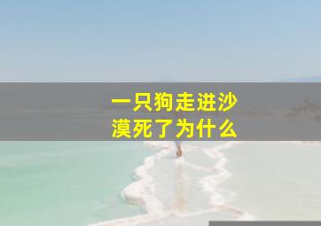 一只狗走进沙漠死了为什么