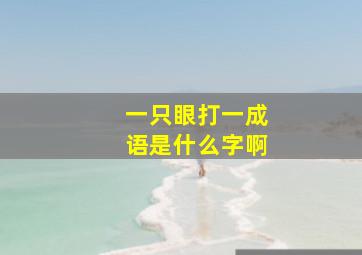 一只眼打一成语是什么字啊