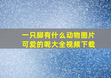 一只脚有什么动物图片可爱的呢大全视频下载