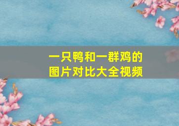 一只鸭和一群鸡的图片对比大全视频