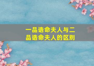 一品诰命夫人与二品诰命夫人的区别