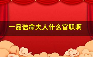 一品诰命夫人什么官职啊