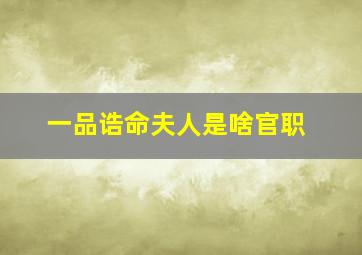 一品诰命夫人是啥官职