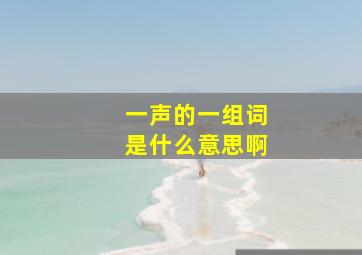 一声的一组词是什么意思啊