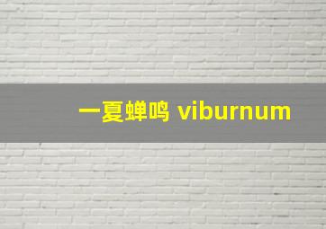 一夏蝉鸣 viburnum