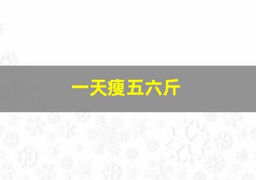 一天瘦五六斤