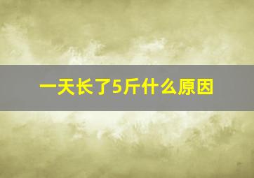 一天长了5斤什么原因