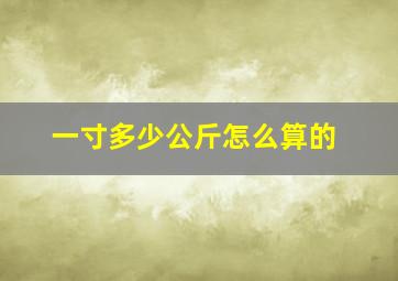 一寸多少公斤怎么算的