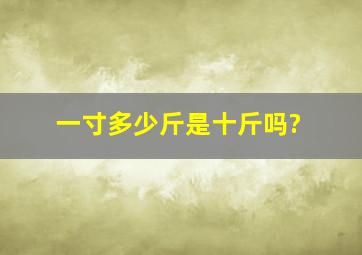 一寸多少斤是十斤吗?