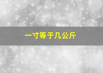 一寸等于几公斤