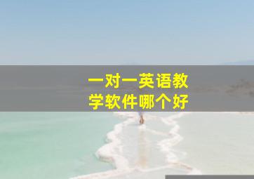 一对一英语教学软件哪个好