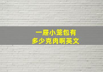 一屉小笼包有多少克肉啊英文