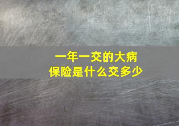 一年一交的大病保险是什么交多少