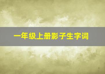 一年级上册影子生字词