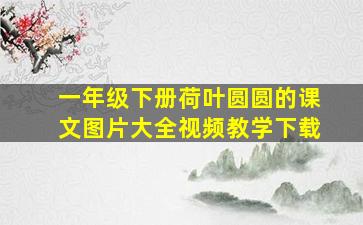 一年级下册荷叶圆圆的课文图片大全视频教学下载