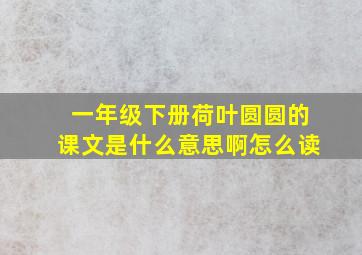 一年级下册荷叶圆圆的课文是什么意思啊怎么读