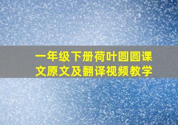 一年级下册荷叶圆圆课文原文及翻译视频教学