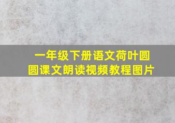 一年级下册语文荷叶圆圆课文朗读视频教程图片