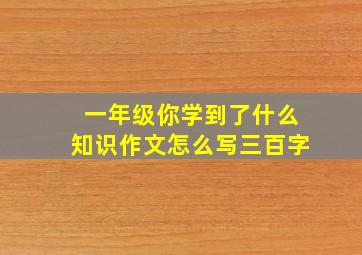 一年级你学到了什么知识作文怎么写三百字