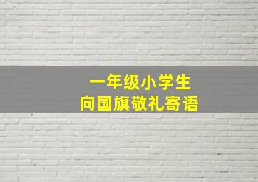 一年级小学生向国旗敬礼寄语