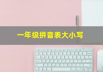 一年级拼音表大小写