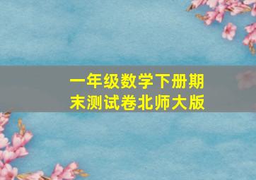 一年级数学下册期末测试卷北师大版