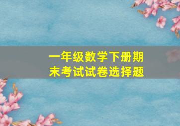 一年级数学下册期末考试试卷选择题