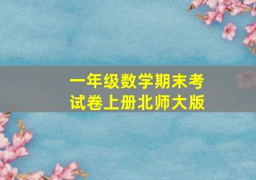 一年级数学期末考试卷上册北师大版