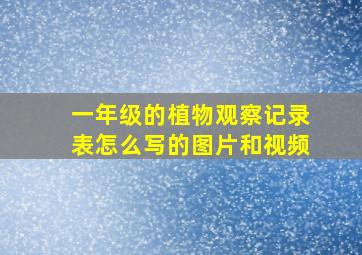 一年级的植物观察记录表怎么写的图片和视频