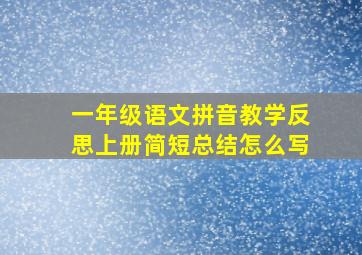 一年级语文拼音教学反思上册简短总结怎么写