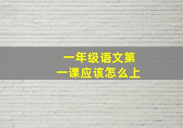 一年级语文第一课应该怎么上