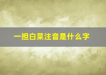 一担白菜注音是什么字