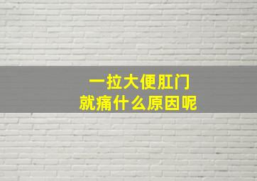 一拉大便肛门就痛什么原因呢