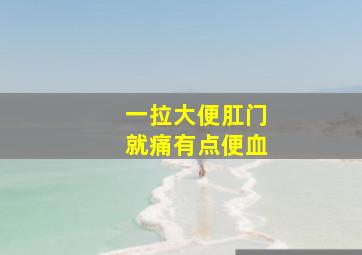 一拉大便肛门就痛有点便血