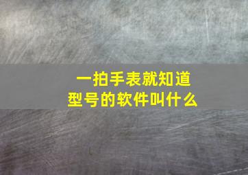 一拍手表就知道型号的软件叫什么