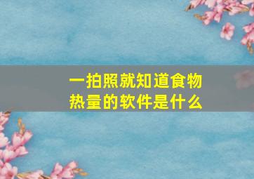 一拍照就知道食物热量的软件是什么