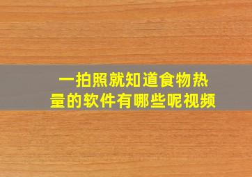 一拍照就知道食物热量的软件有哪些呢视频