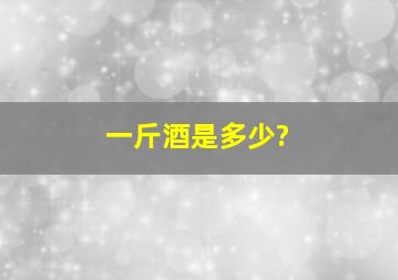 一斤酒是多少?