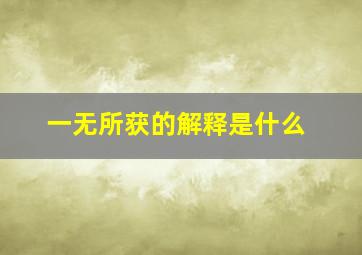 一无所获的解释是什么