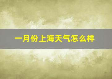 一月份上海天气怎么样