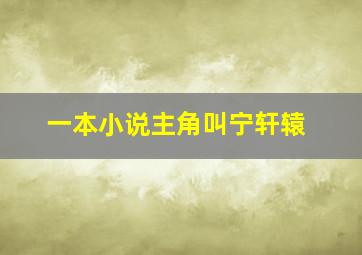 一本小说主角叫宁轩辕