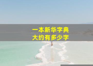 一本新华字典大约有多少字