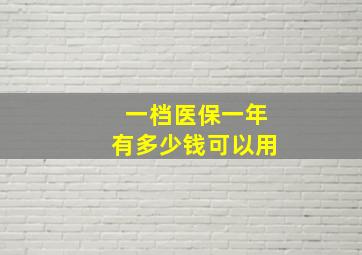 一档医保一年有多少钱可以用