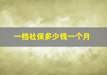 一档社保多少钱一个月